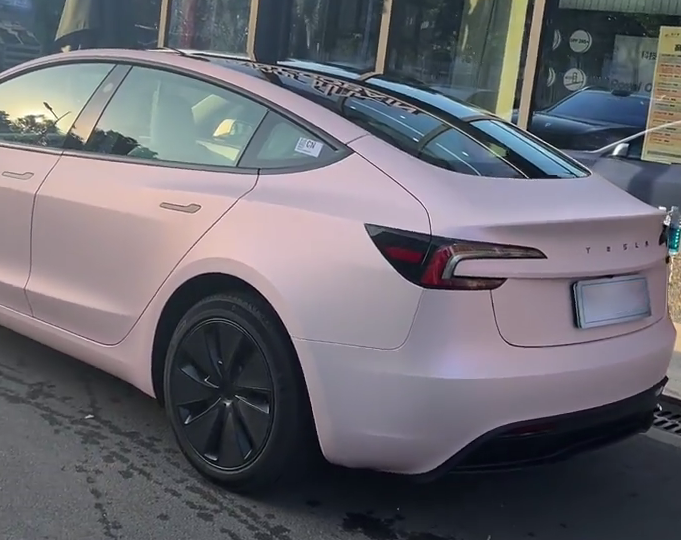 Mallcas™ TPU ColorPPF Matte Shell Pink