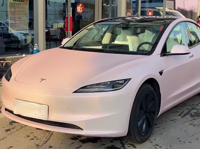 Mallcas™ TPU ColorPPF Matte Shell Pink