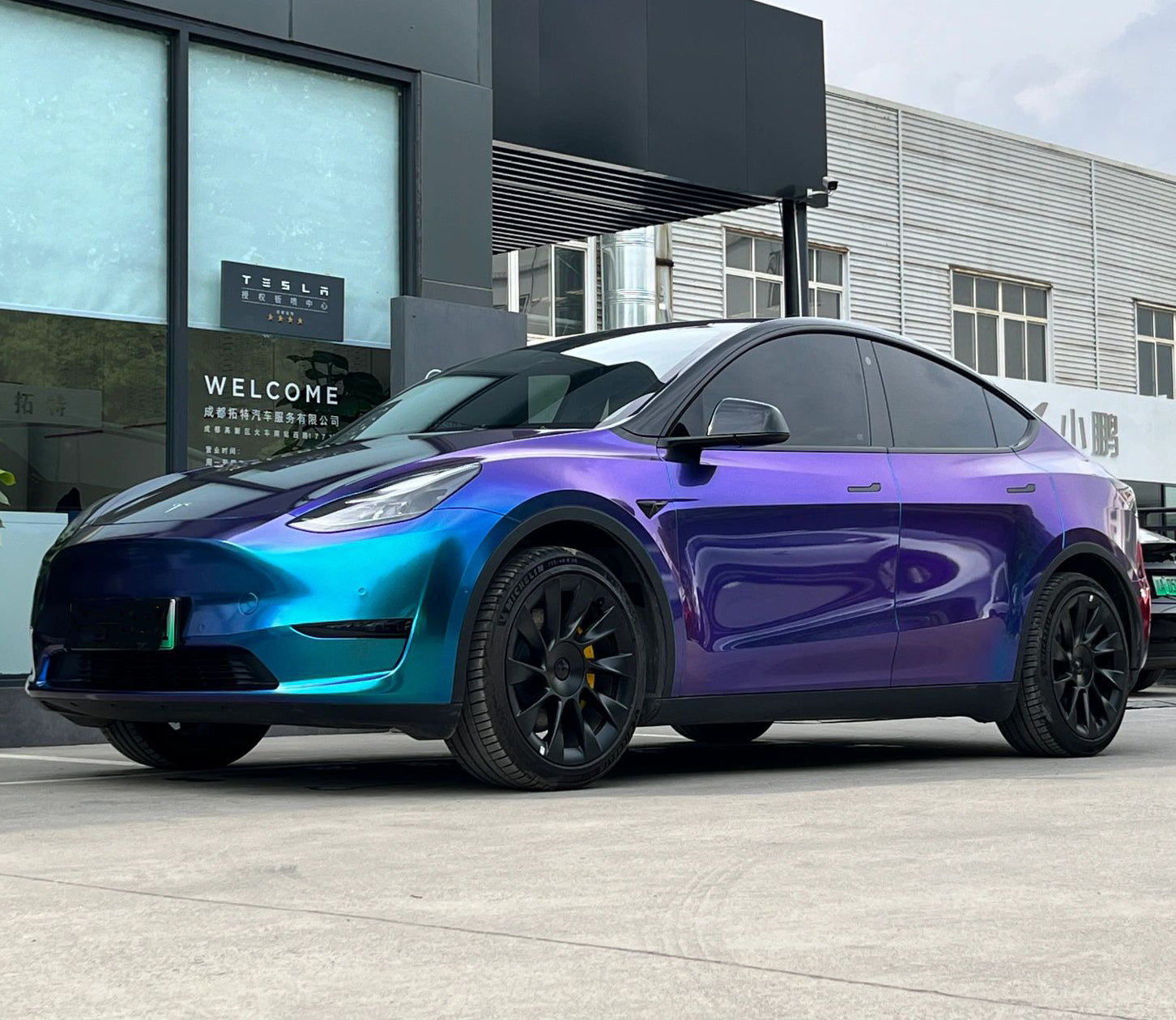 Mallcas™ Glossy Diamond Purple Blue Vinyl Wrap (PET Liner)