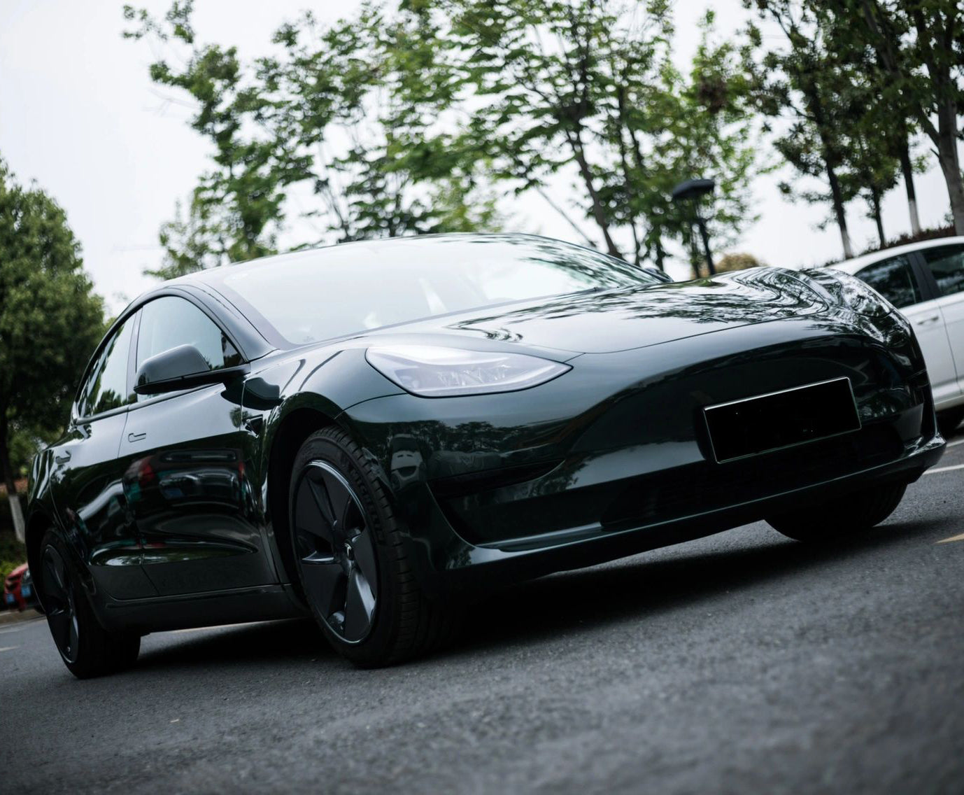 Mallcas™ Glossy Viridis Vinyl Wrap