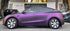 Mallcas™ TPU ColorPPF Super Matte Venetian Violet (Black Pinot)
